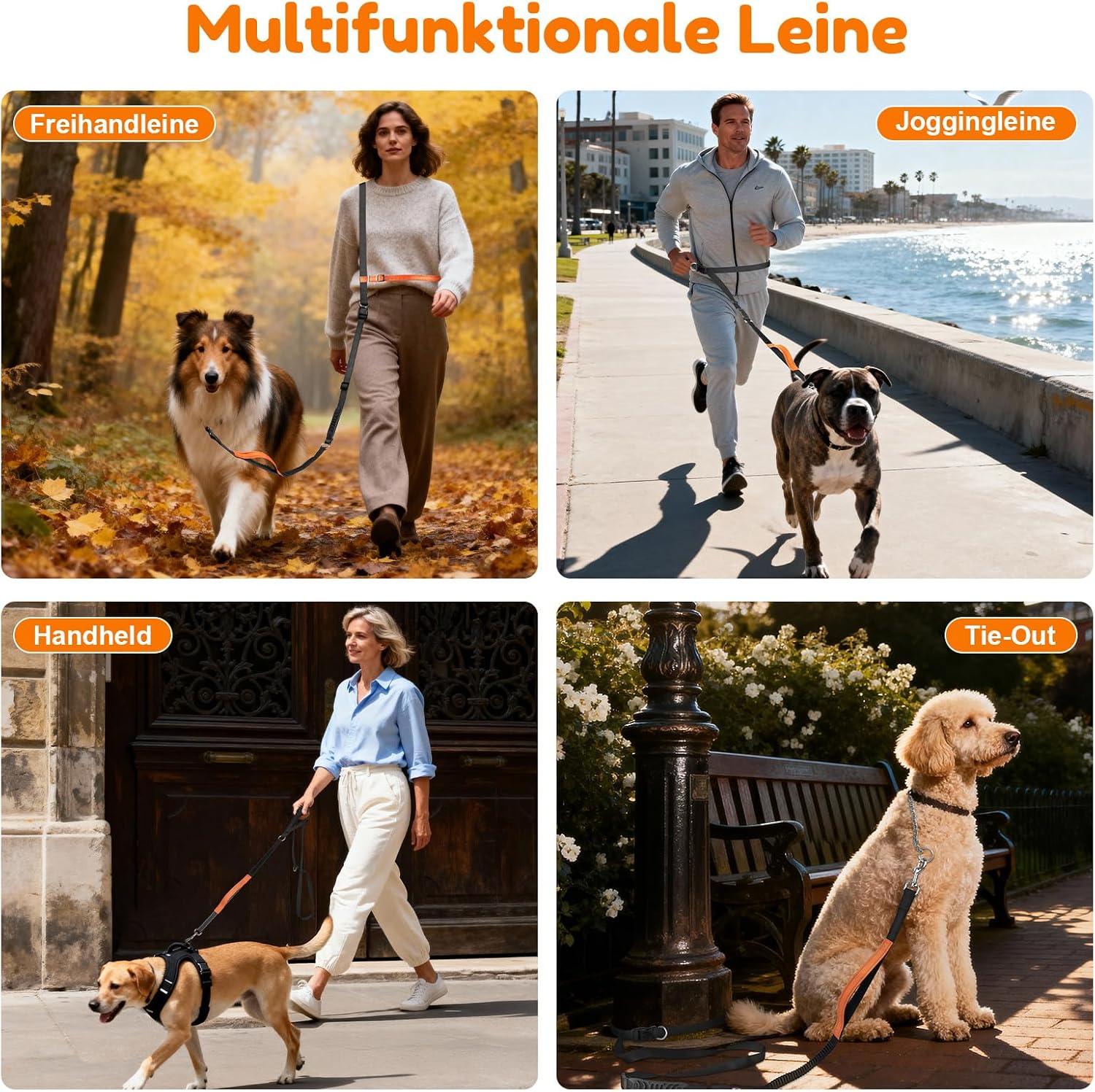 XBEN Joggingleine für Hunde 2,2m-2,35m mit Dualgriff Freihandleine