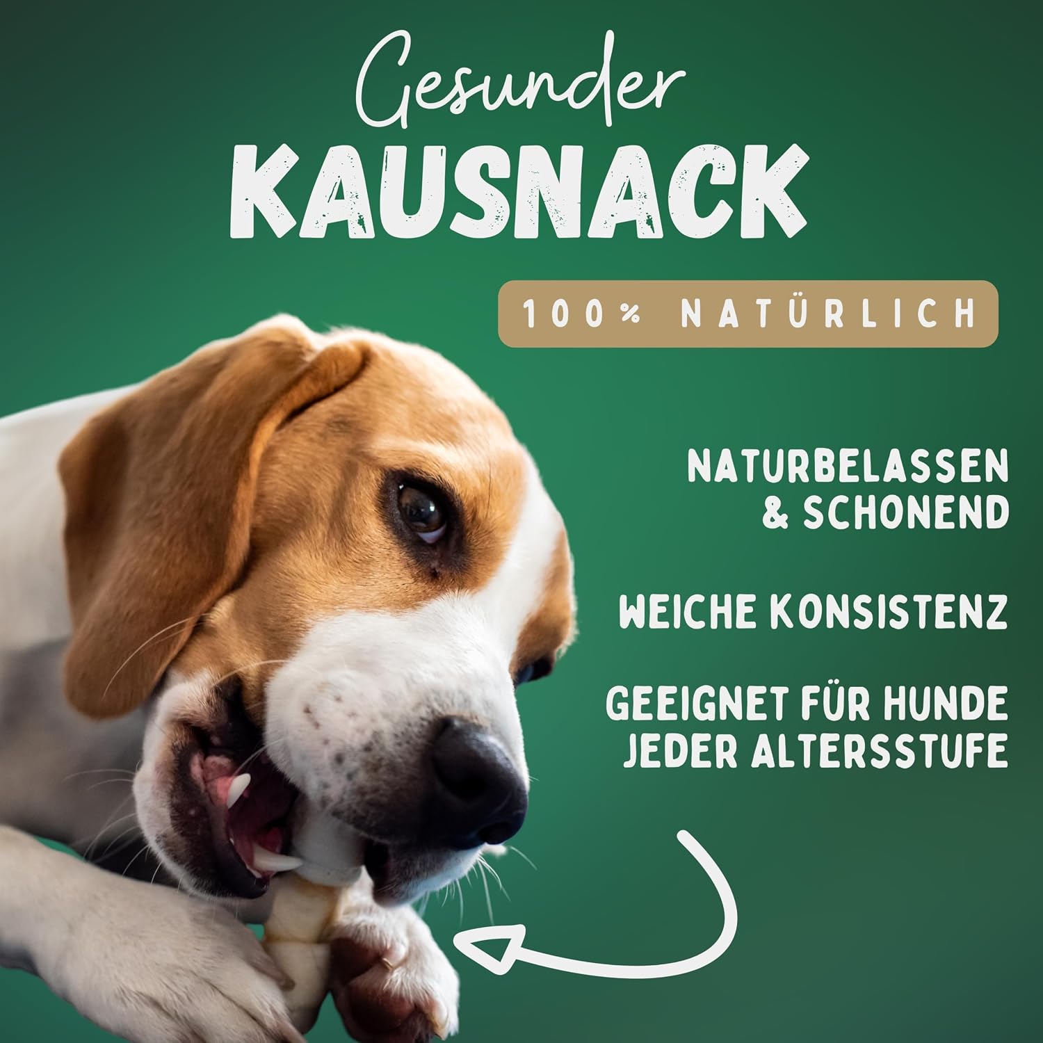 BREERs Rinderkopfhaut Kauartikel 20 cm Hunde verschiedene Sorten