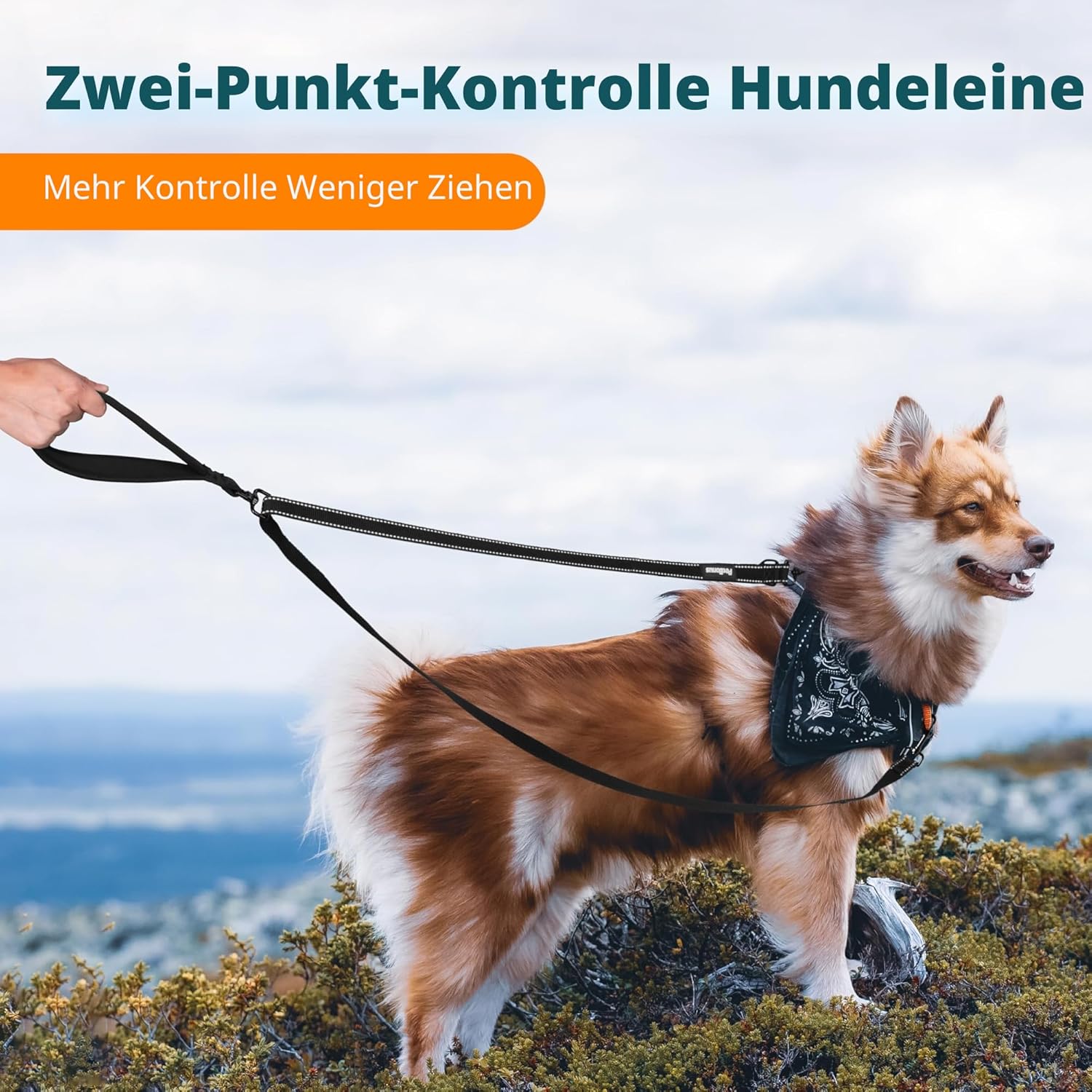 PetBonus Hundeleine Anti-Zieh doppelt reflektierend Schwarz Groesse Gross/Mittel
