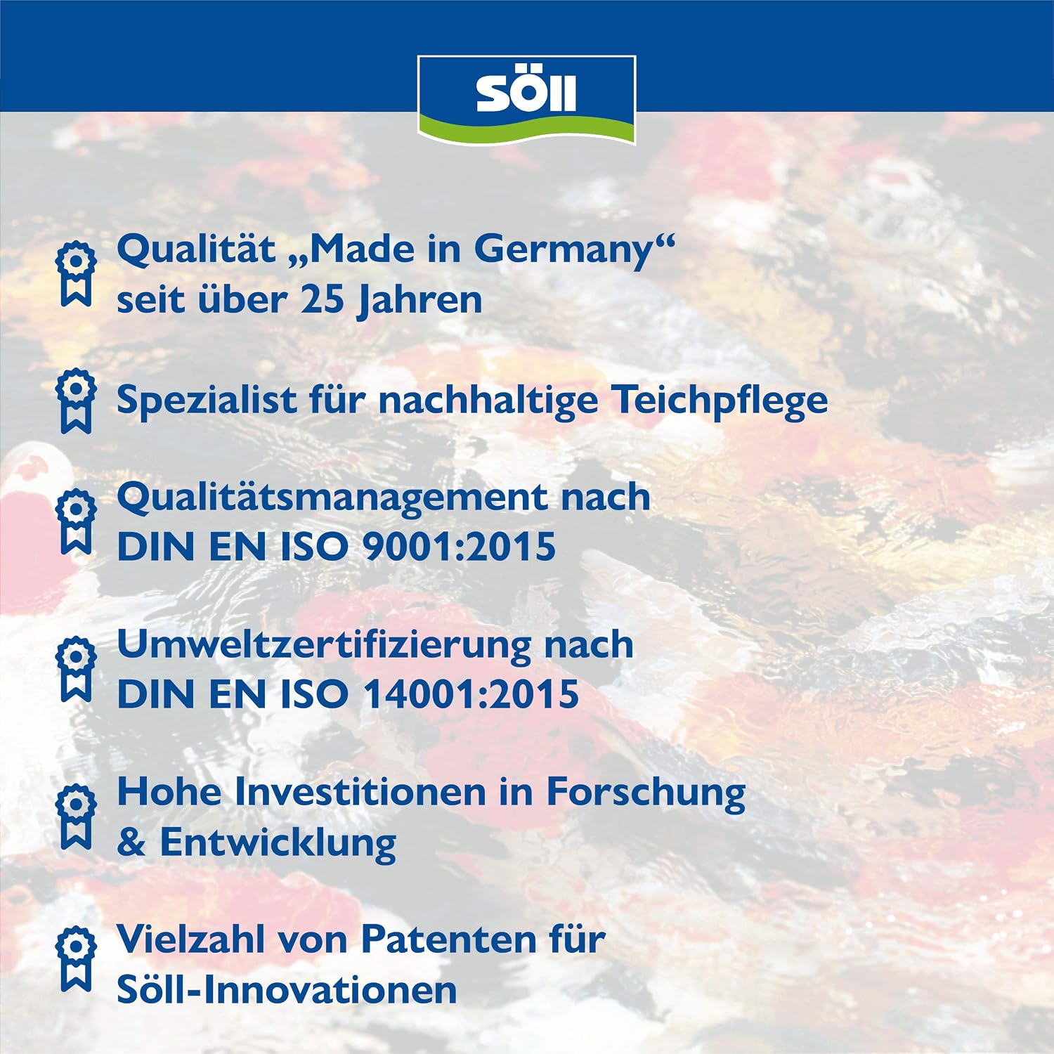 Soell AquaDes Desinfektion fuer Pool Wasserpflege gegen Bakterien
