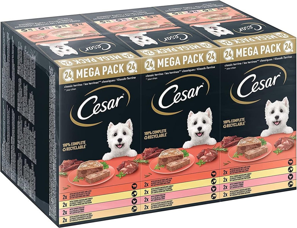 Cesar Hundenassfutter Klassik Terrine 24 x versch. Sorten