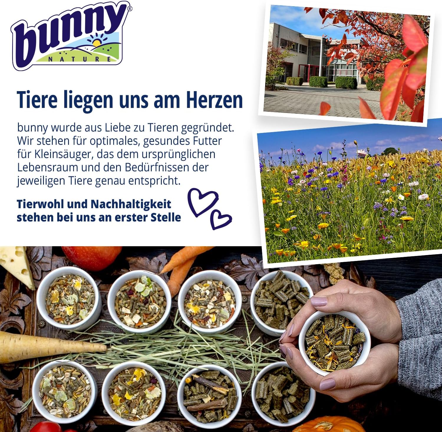 bunnyNature HamsterTraum Expert 500g Alleinfutter Hamsterfutter mit Mehlwürmern