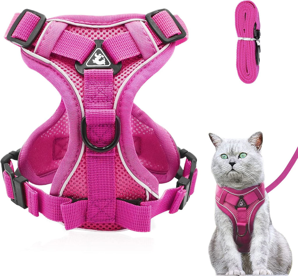 Katzengeschirr ausbruchsicher verstellbar mit Leine Gr. XS-L Blau