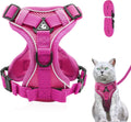 Katzengeschirr ausbruchsicher verstellbar mit Leine Gr. XS-L Blau