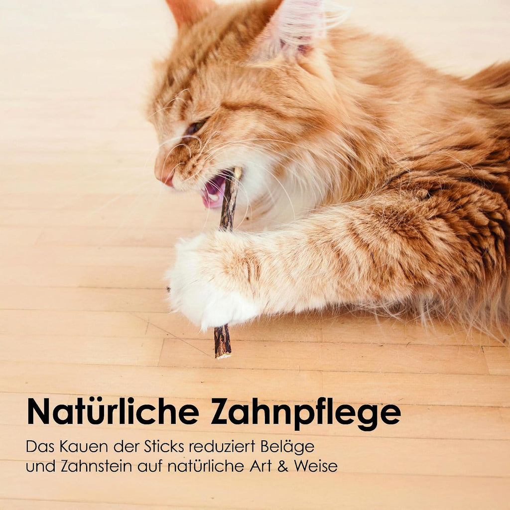 Katzen Kauholz Matatabi Sticks Zahnreinigung Spielzeug 6 Stueck