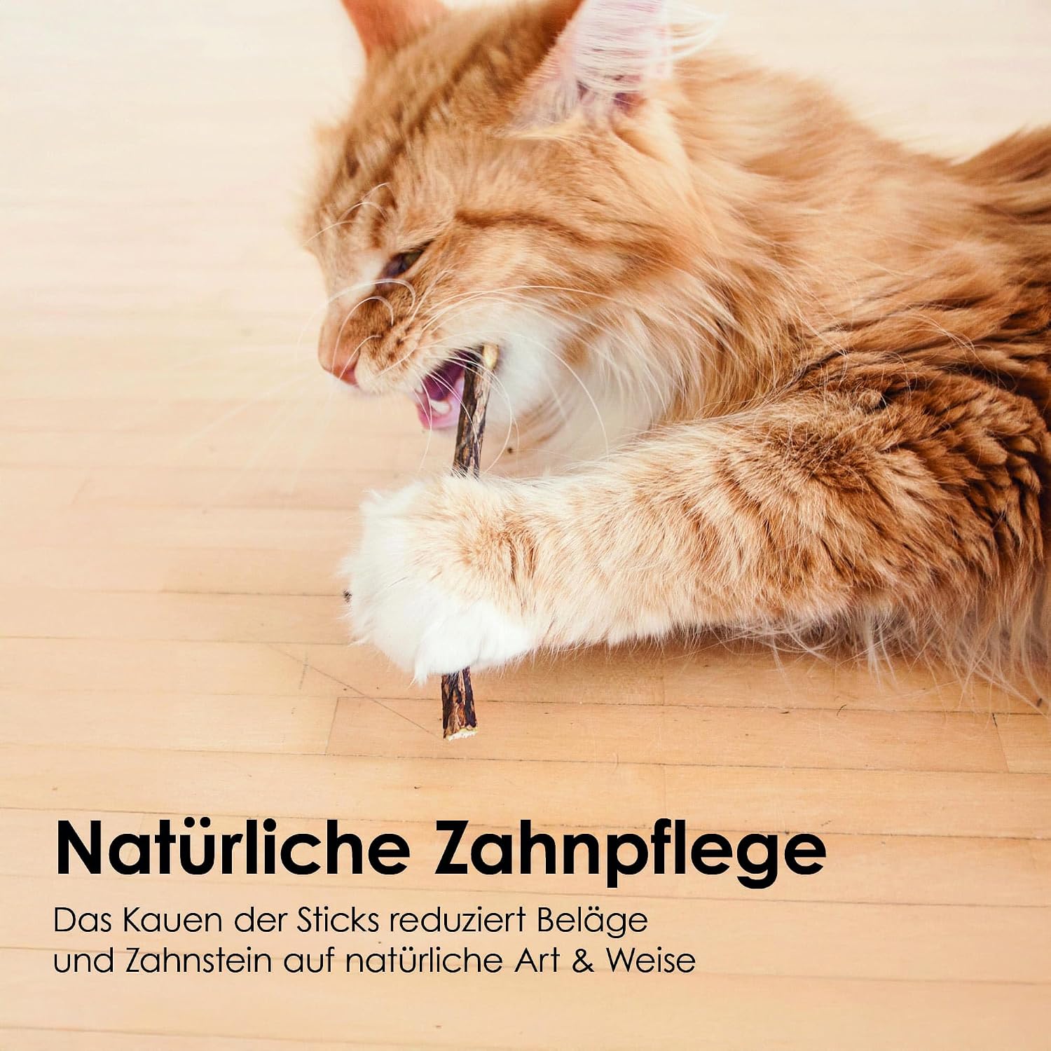 Katzen Kauholz Matatabi Sticks Zahnreinigung Spielzeug 6 Stueck