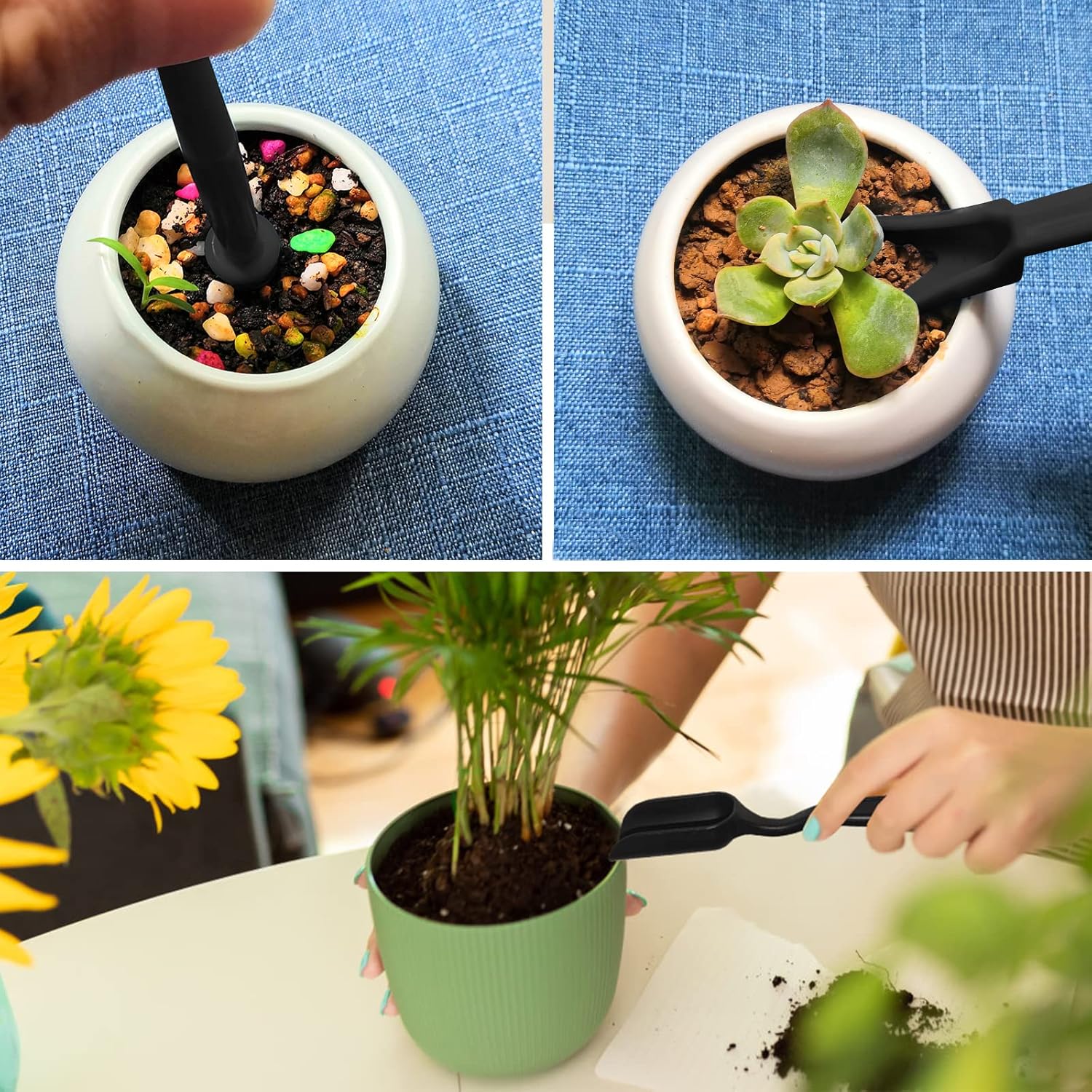 12er Mini Gartenwerkzeugset fuer Sukkulenten Bonsai Kakteen Zimmerpflanzen