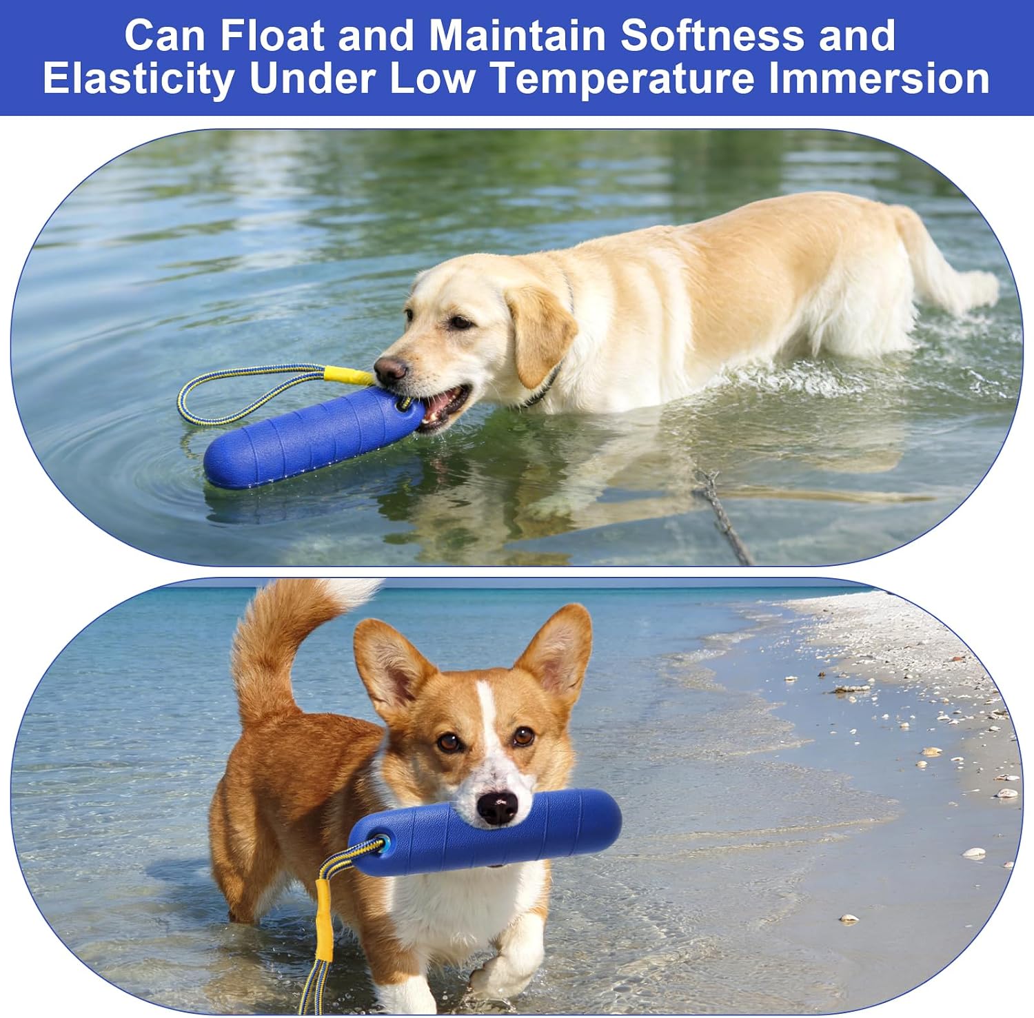 DUTIFUL Hundespielzeug Schwimmspielzeug mit Nylonseil fuer mittelgrosse und grosse