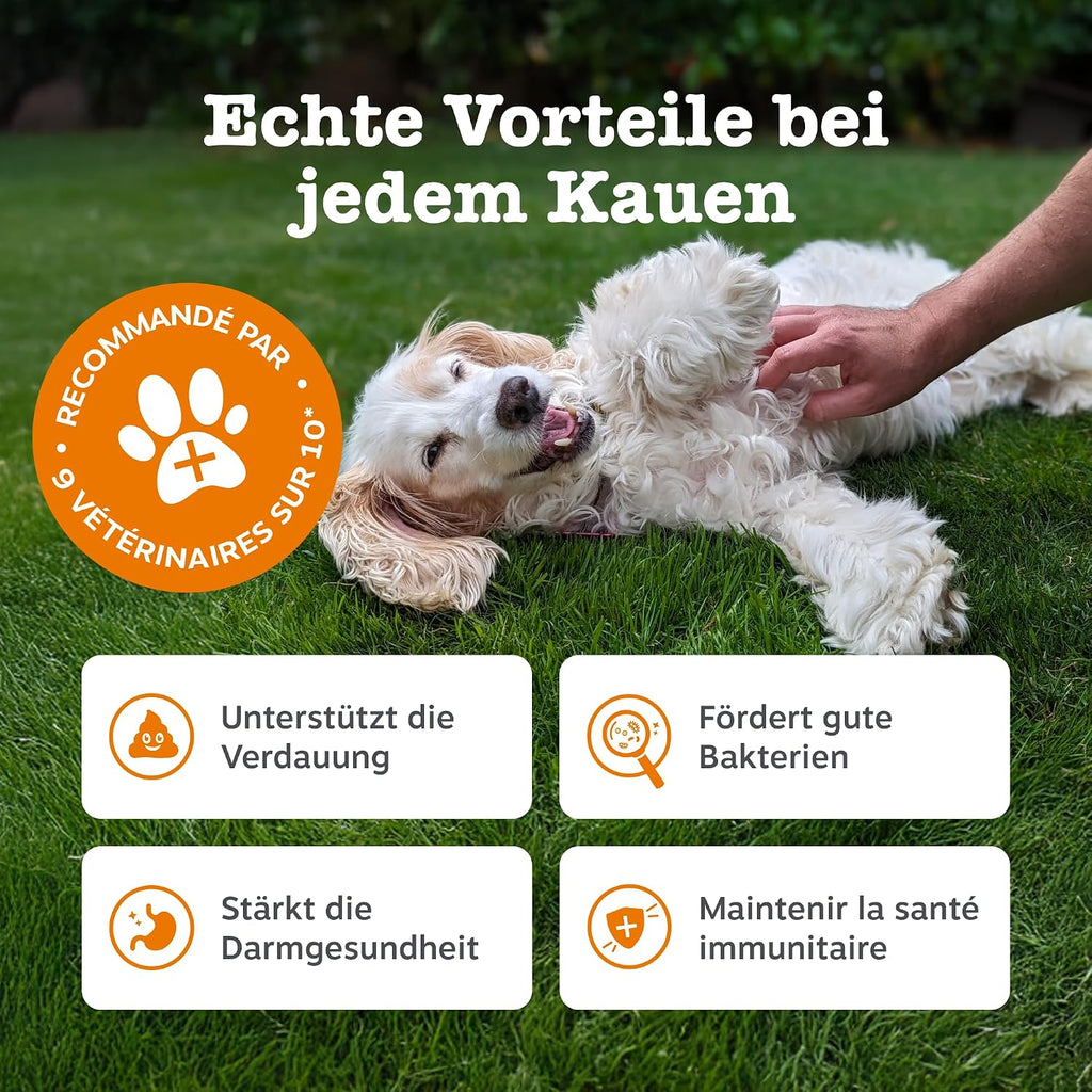 Zesty Paws Probiotika für Hunde 90 Kauleckerlis mit Kürbis & Leinsamen