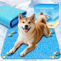 Hundekuehlmatte 60x90 cm selbstkuehlend waschbar und krallenfest