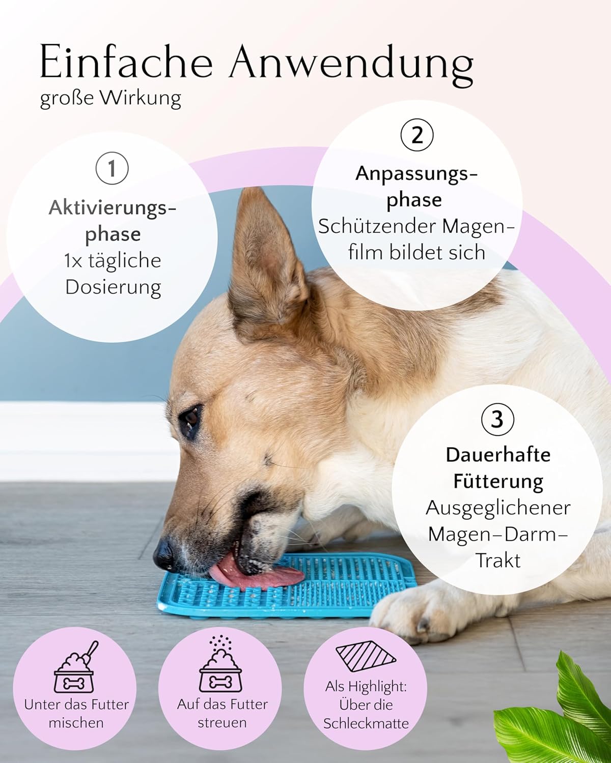 FAVLY Pulver Magen-Darm fuer Hunde - getreidefreies Ergaenzungsfutter, Rotulm
