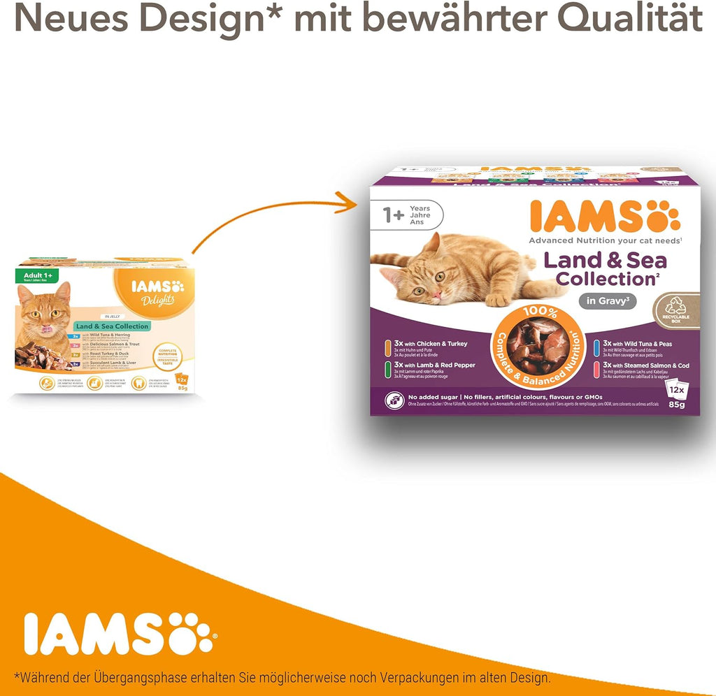 IAMS Delights Kitten Nassfutter 24x85g Huhn in Sauce Katzenfutter Monate