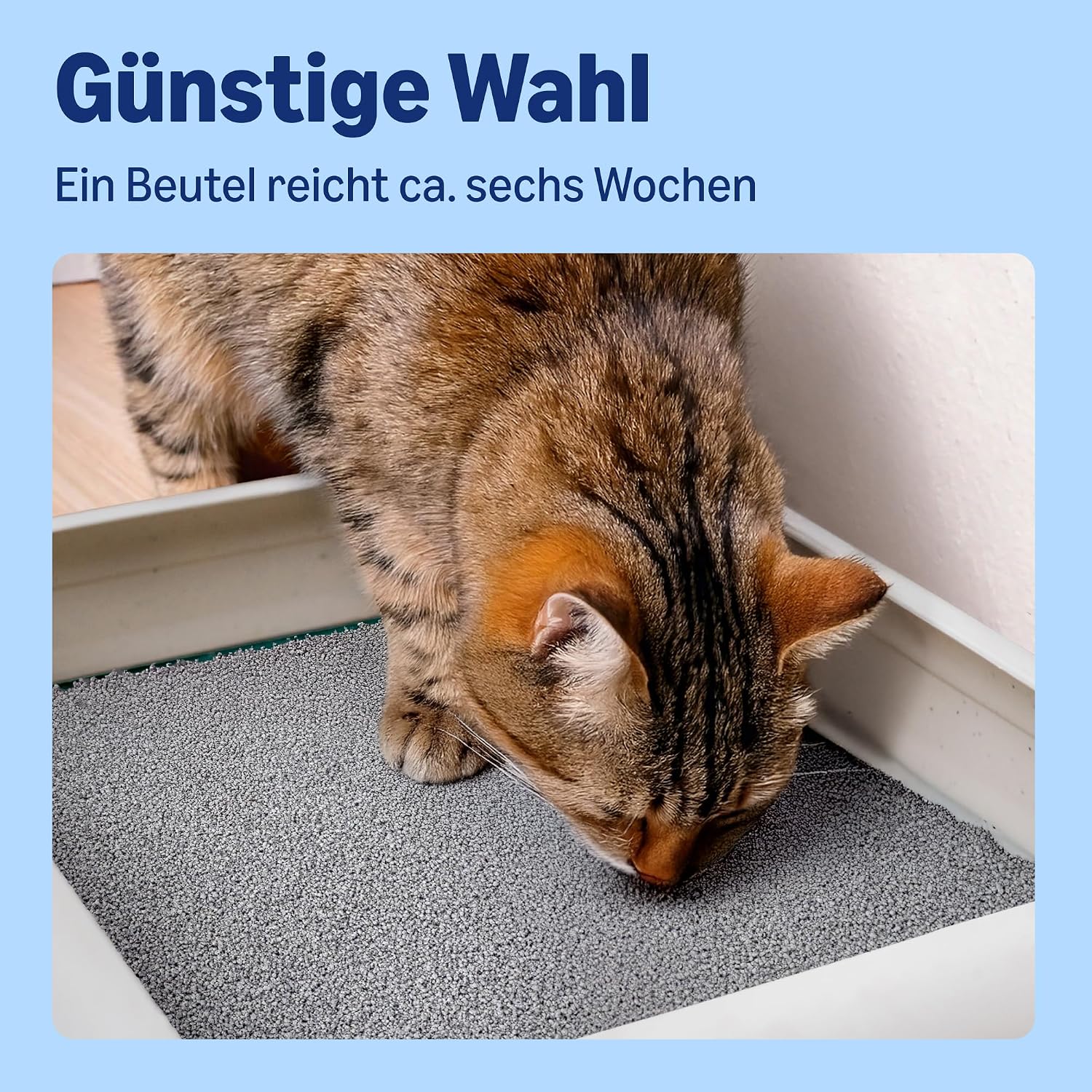 Bentonite Katzenstreu 10 L mit Babypuderduft verschiedene Sorten