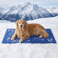 BEDSURE Kühlmatte Hund Extra groß 120x75 cm selbstkühlend Gelmatte 300D Oxford 1
