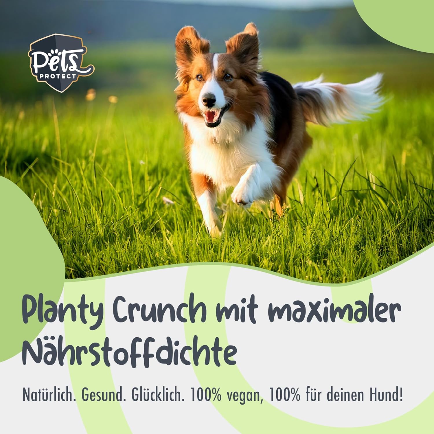 Planty Crunch Veganes Hundefutter getreide- & sojafrei fuer Allergiker