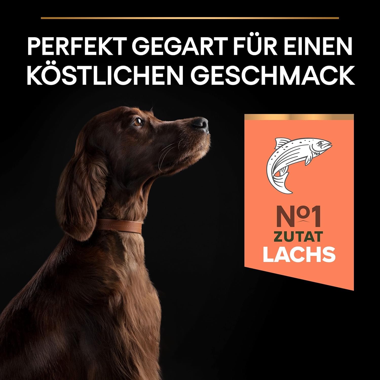Pro Plan Large Athletic Adult Sensitive Skin Trockenfutter Lachs 14 kg