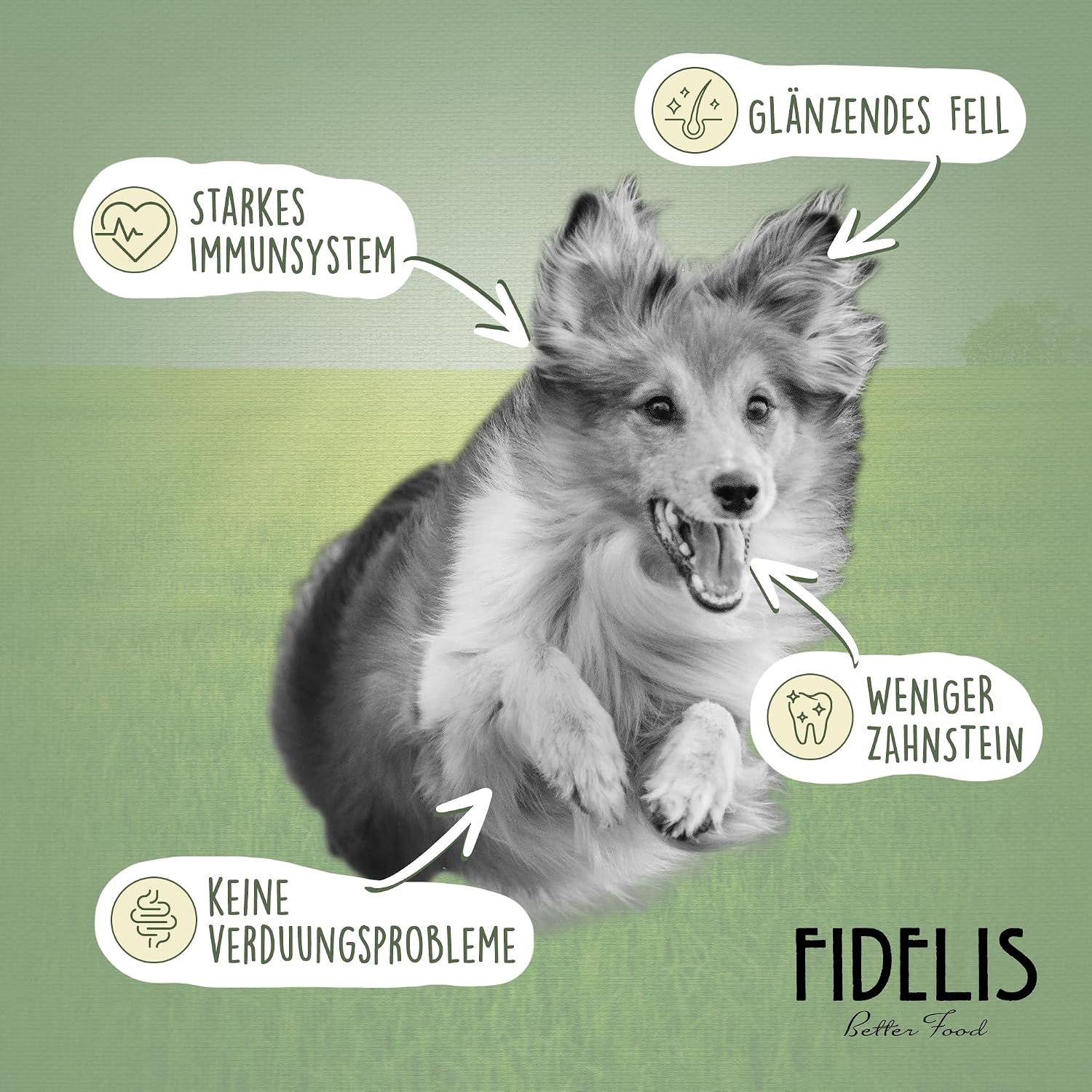 Fidelis Hundefutter nass Lachs & Suesskartoffel 6x400g Glas verschiedene Sorten