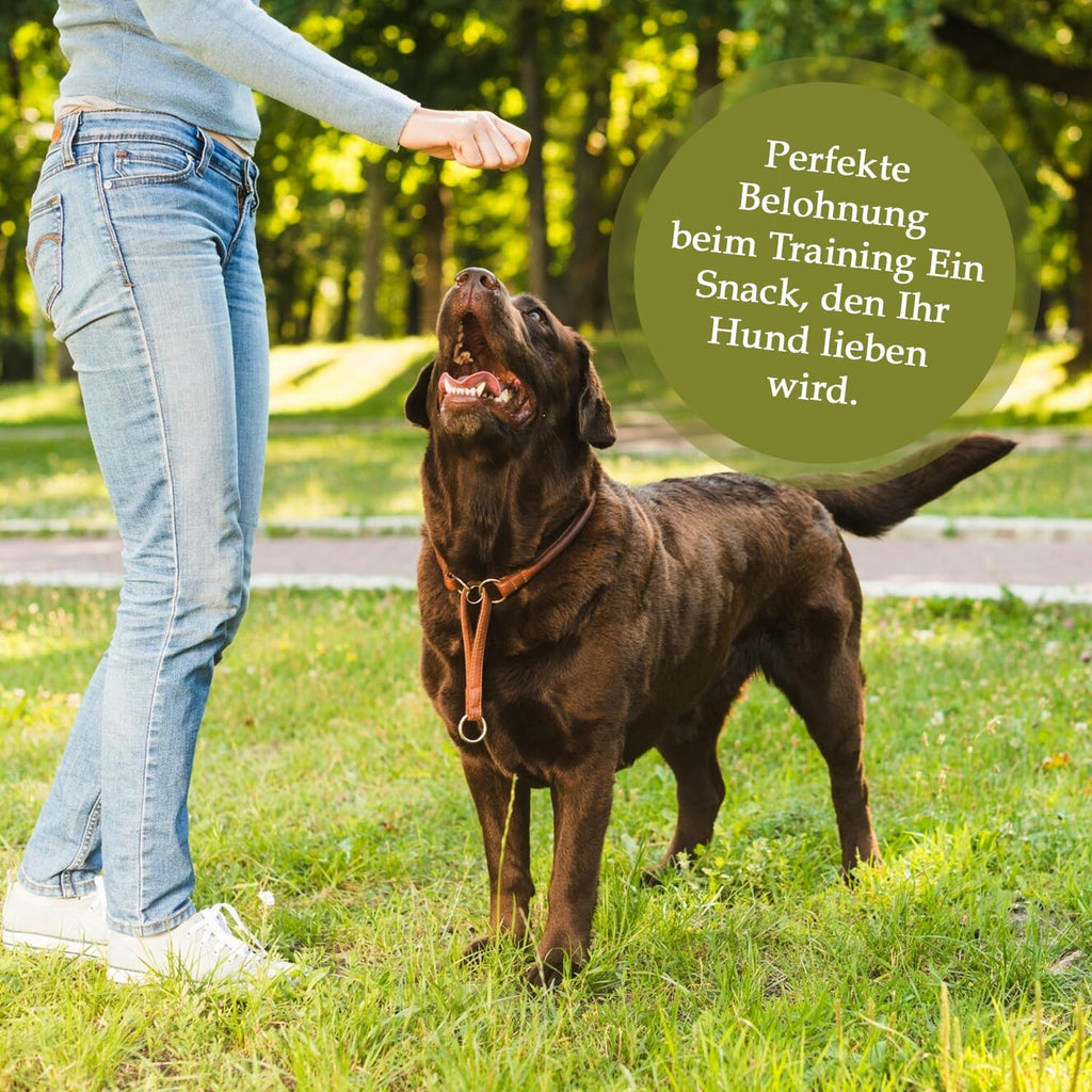 Bellfor Landgut-Happen Insekten - Hypoallergene, getreidefreie Soft-Snacks