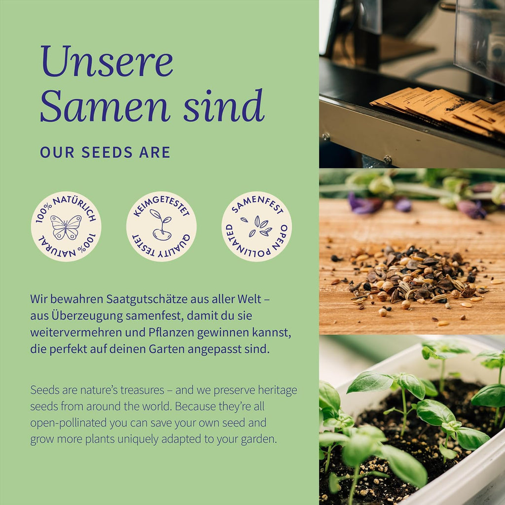 Raeucherpflanzen Samen Set zur Anzucht - magische Kraeuter Geschenk
