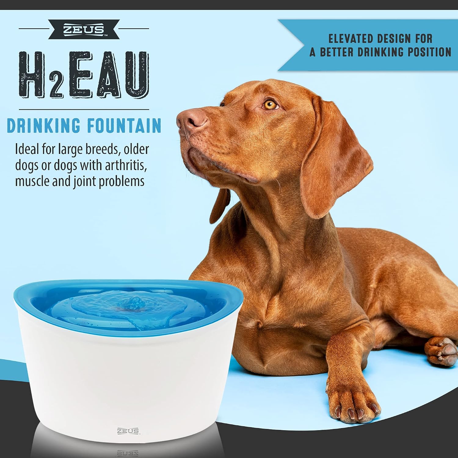Zeus Hunde Trinkbrunnen 6L weiss blau mit elektrischer Zirkulation