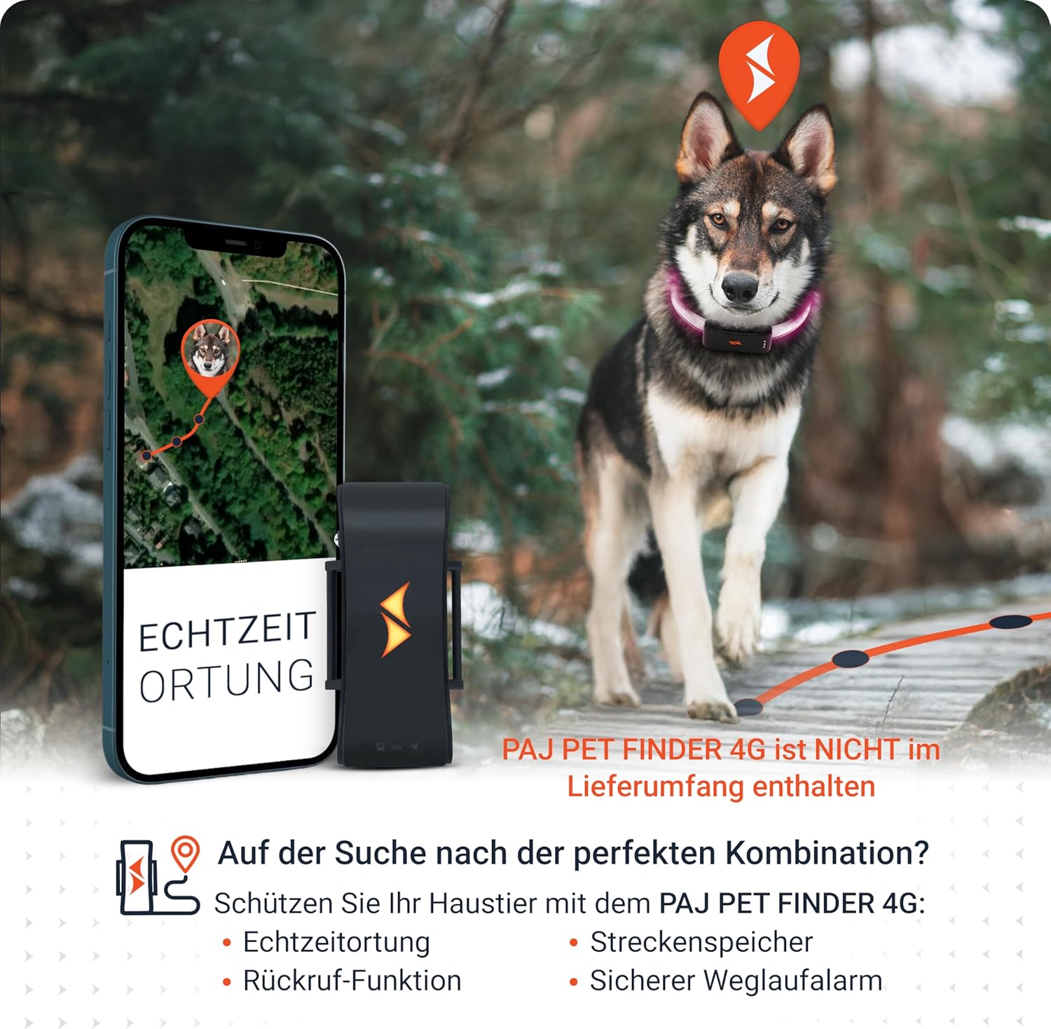 PAJ Light LED Hundehalsband cm verstellbar wasserfest schwarz, 7 Farben