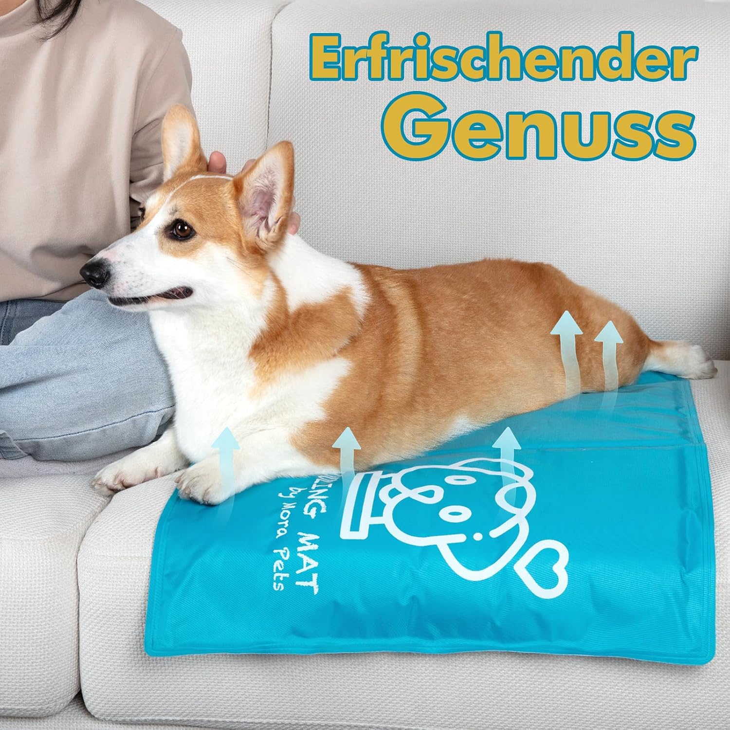 Pawtasy selbstkuehlende Hundematte S 50 x 40 cm Grau mit Gelfuellung