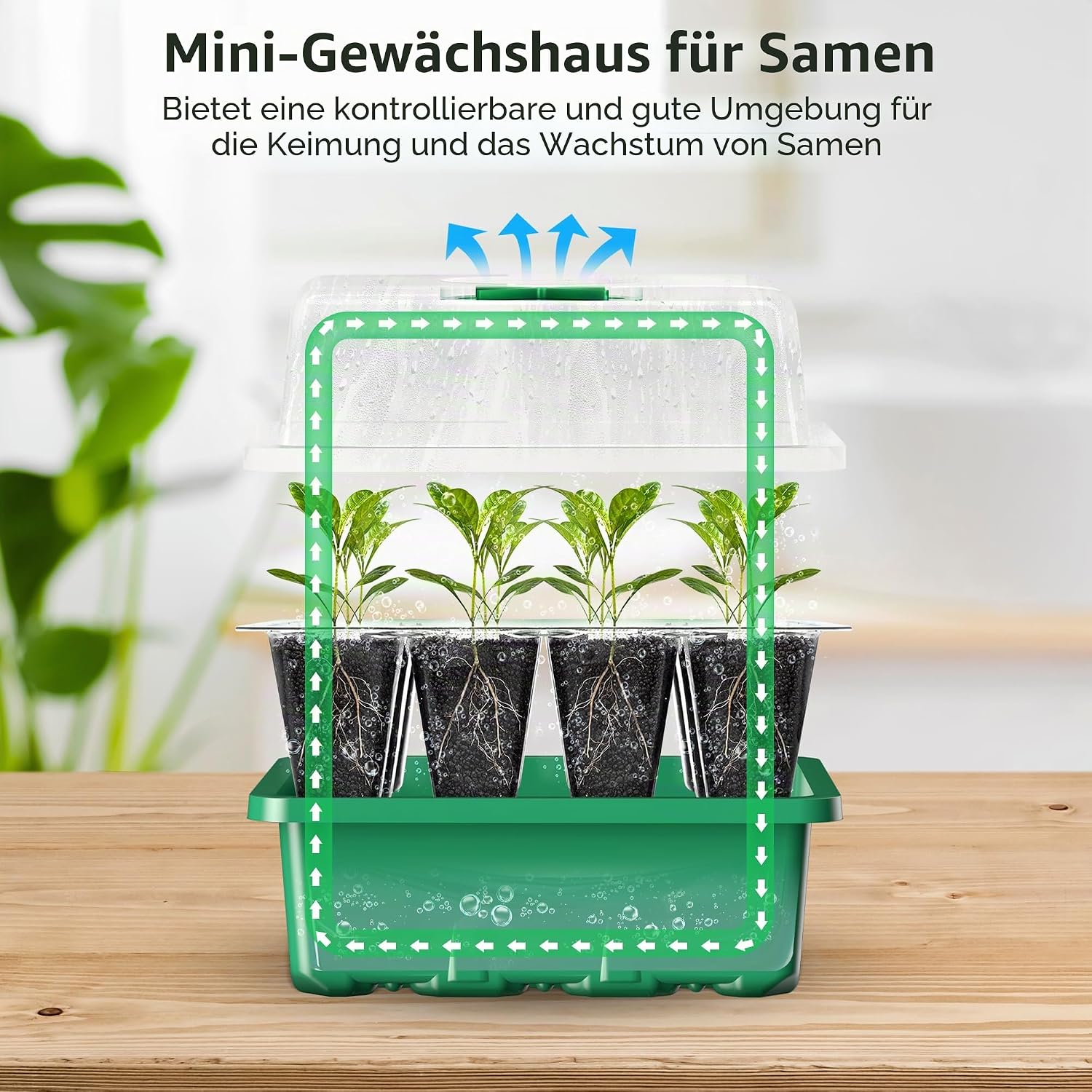 Zimmergewaechshaus 120 Zellen Anzuchtset 10er Set Mini Gewaechshaus Gruen