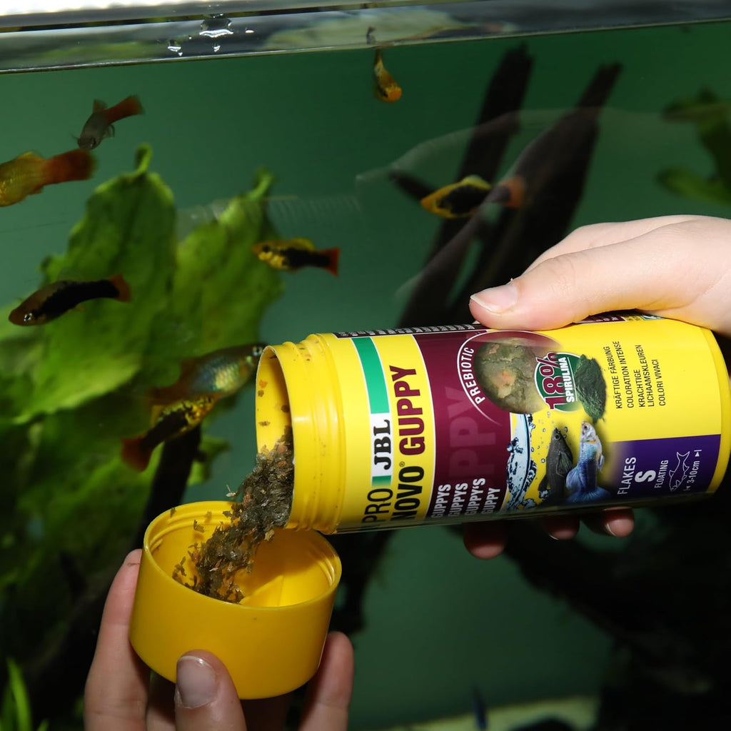 JBL ProNovo Guppy Flocken Fischfutter Größe S 250 ml für Guppys 3–10 cm