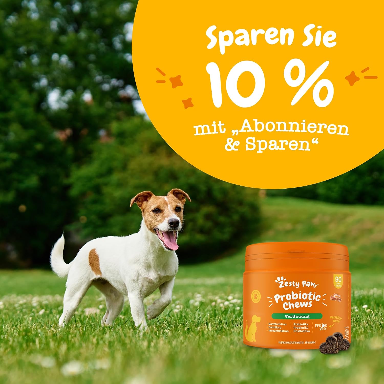 Zesty Paws Probiotika für Hunde 90 Kauleckerlis mit Kürbis & Leinsamen