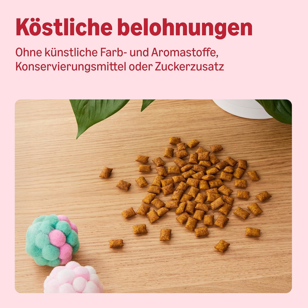 Katzenleckerlis Lachs 70 g Snack Belohnung für Katzen