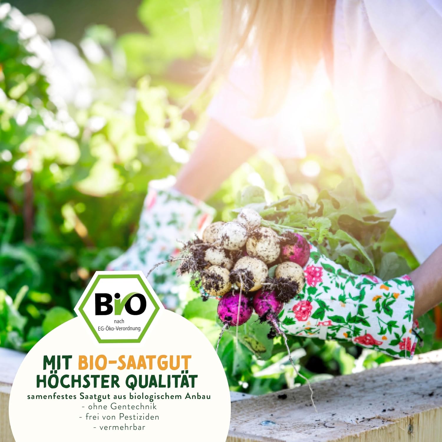 Bio Gemuese Samen Set 10 Sorten Anzuchtset Kinder Garten Pflanzset