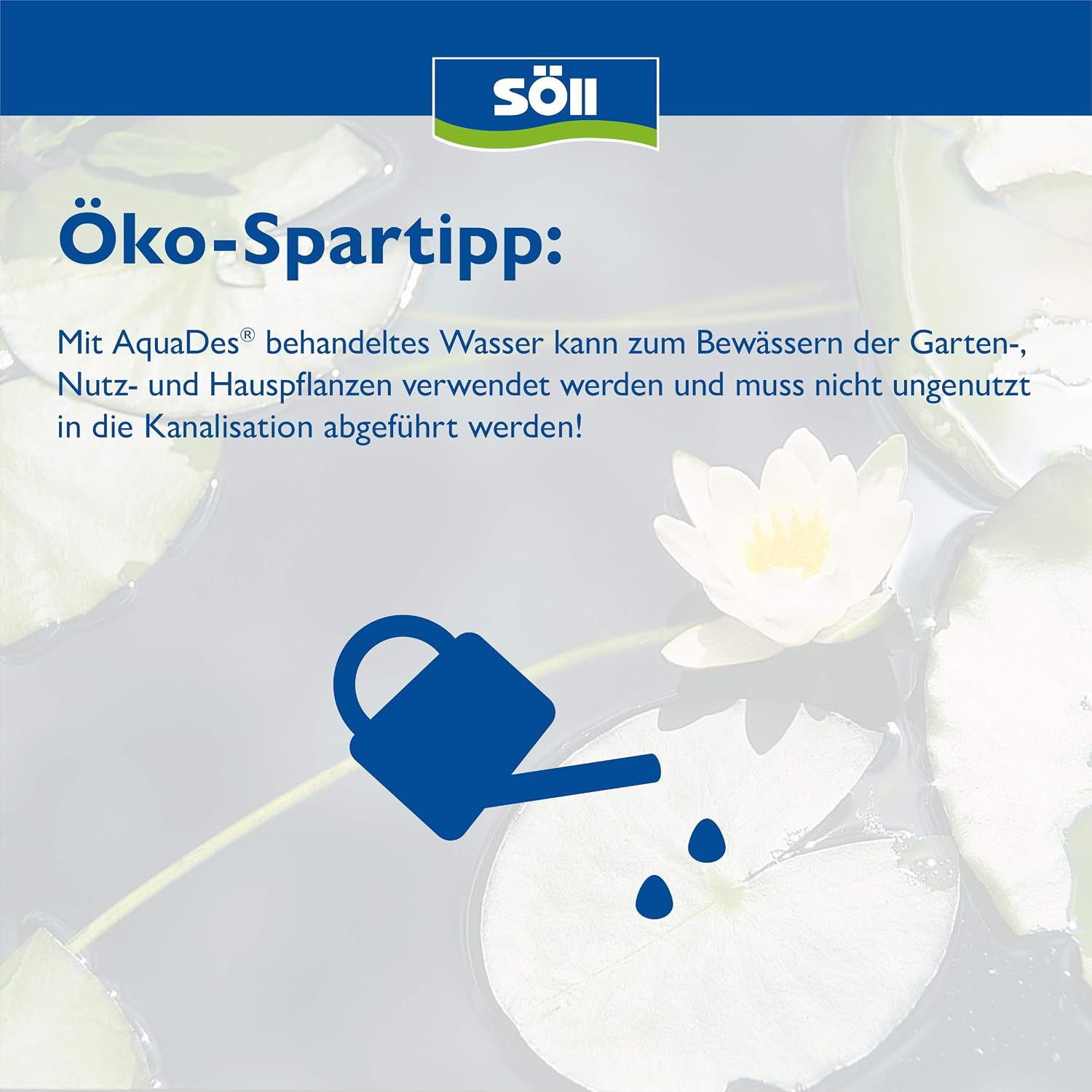 Soell AquaDes Desinfektion fuer Pool Wasserpflege gegen Bakterien