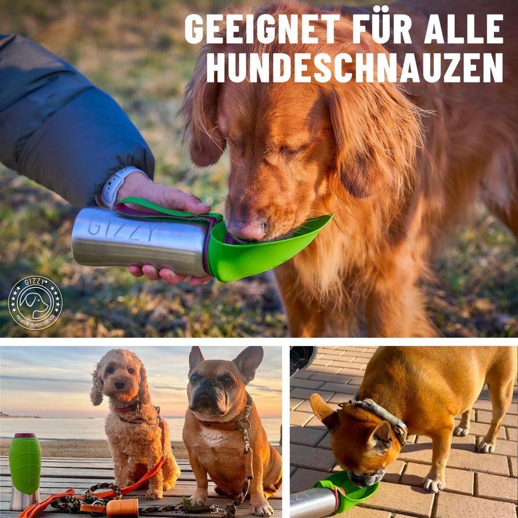 GIZZY Trinkflasche fuer Hunde Edelstahl auslaufsicher mit Handtuch