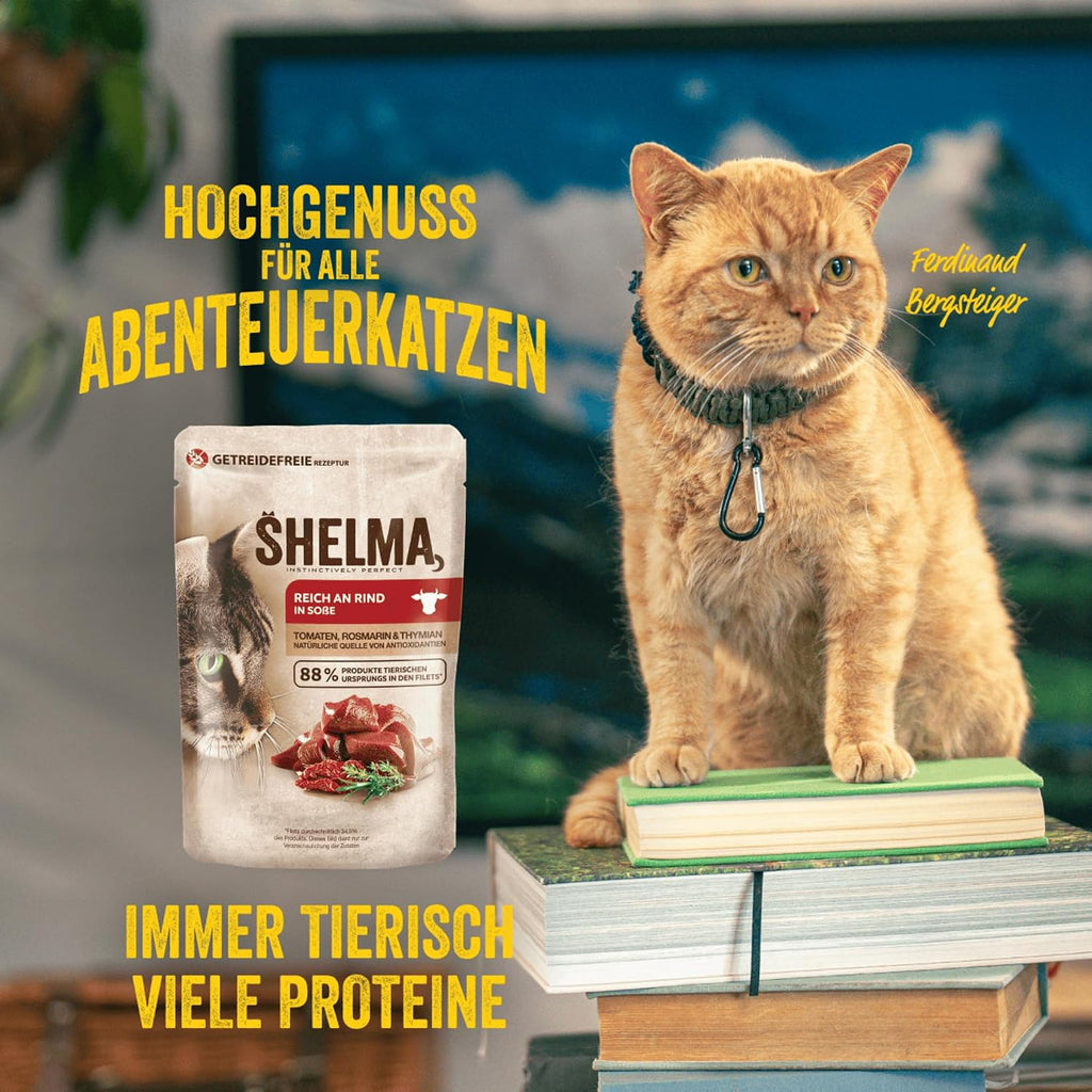 Katzen Nassfutter Gourmet Perle 28x85g in Sauce verschiedene Sorten