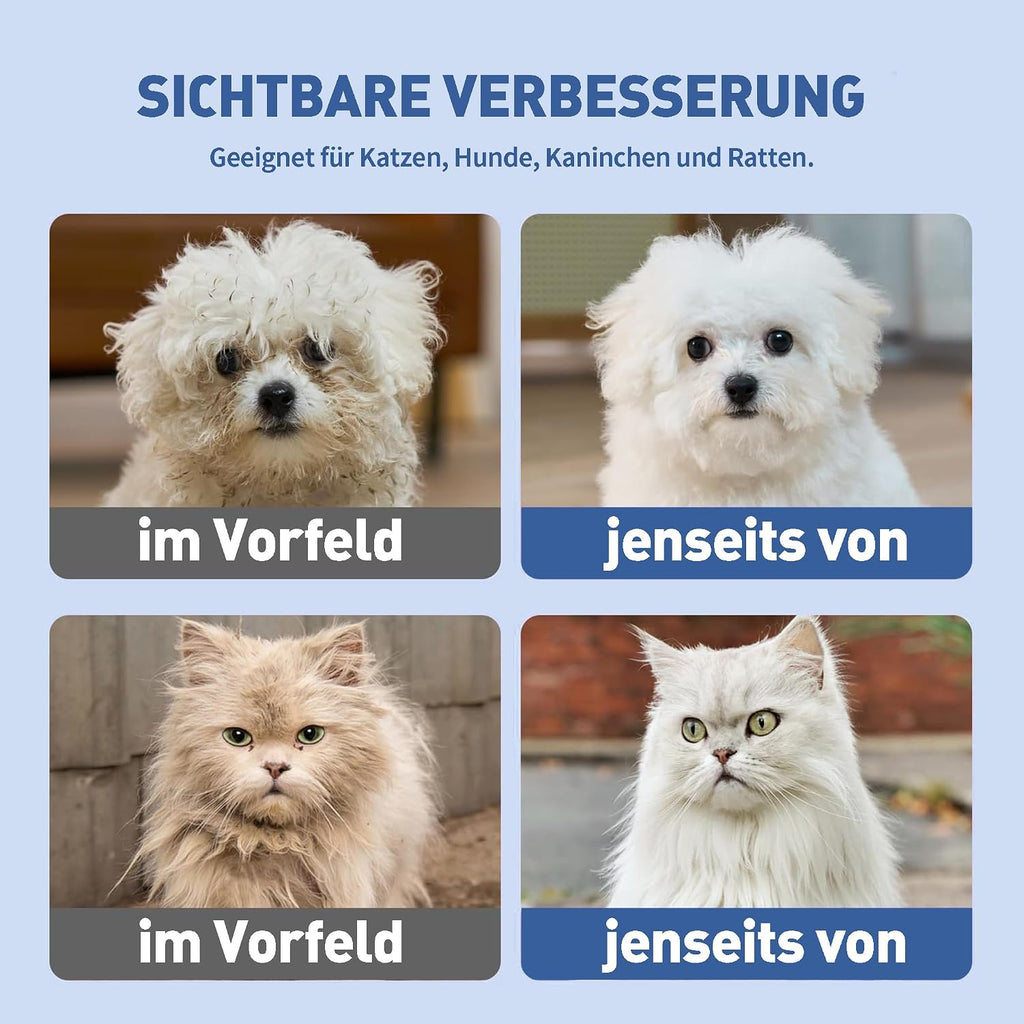 Pflegetuecher fuer Hunde und Katzen 10er Pack hypoallergen ohne Duft Einweg 3 Pack