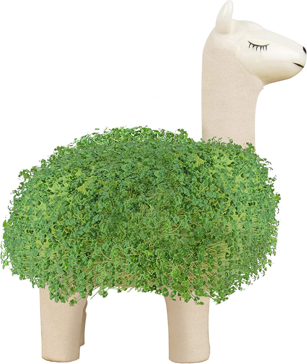 Lama Anzuchtset mit Chia Samen und Keramik Pflanztier - Geschenkset