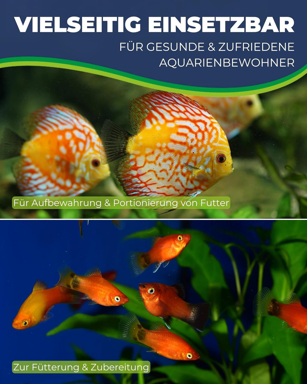 Hobby Multibox Aquarium Futterbehälter 10x10x6 cm Sieb Frostfutter
