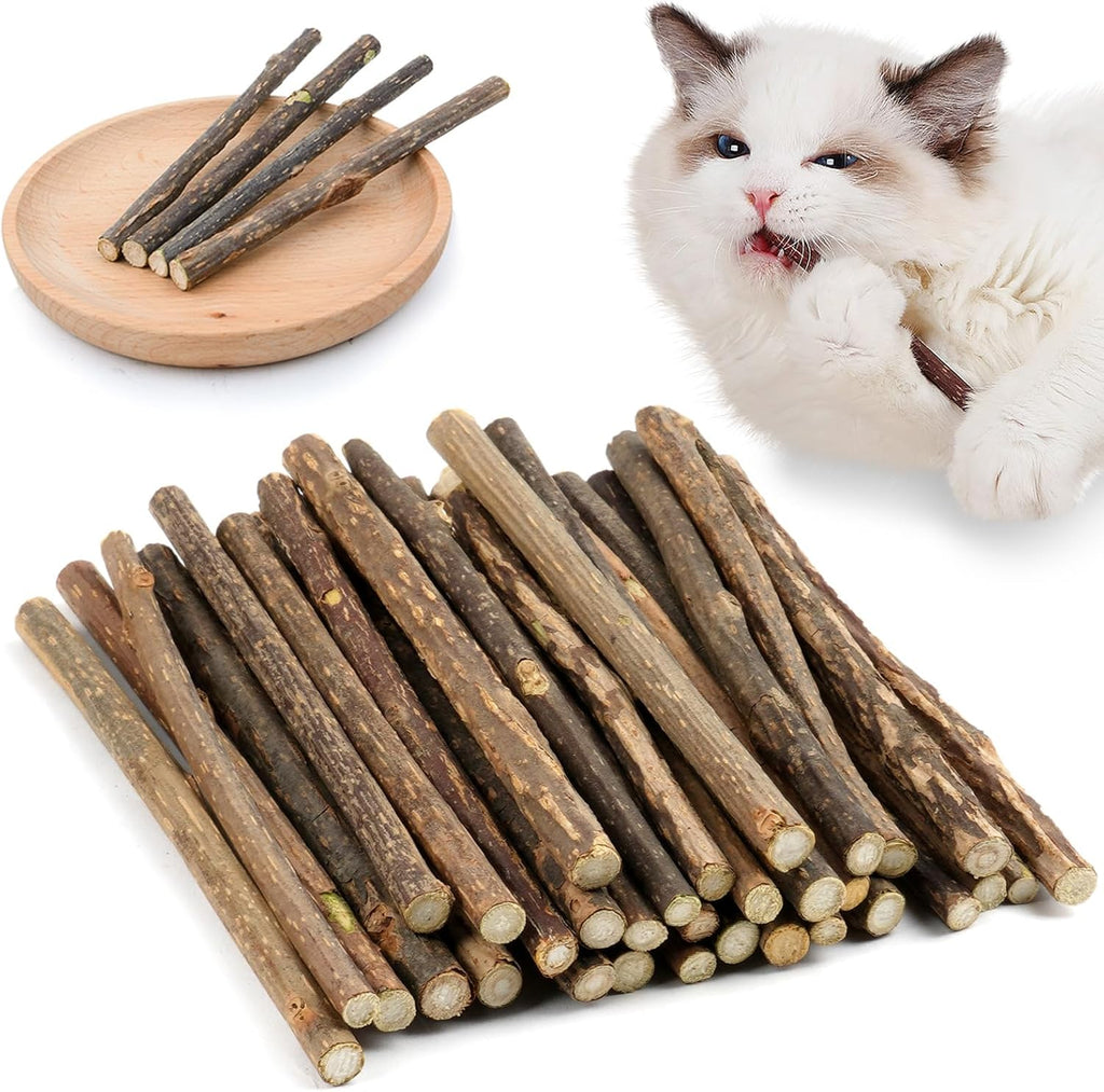 OSDUE Katzenminze Matatabi Kausticks 32 Stueck fuer Zahnpflege, Mundgeruch