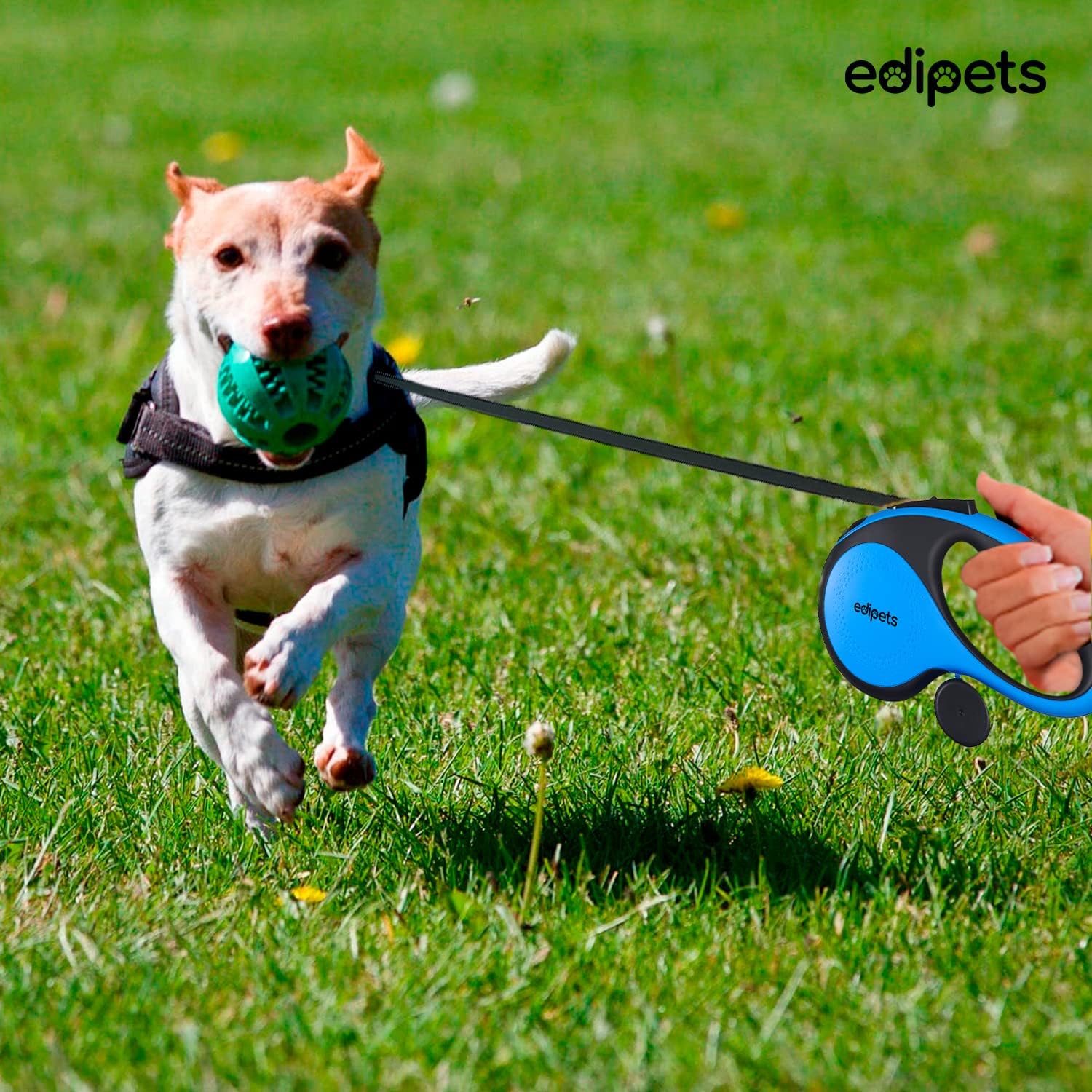 Edipets Hundeleine 5 m ausziehbar Rueckziehbar Training Spaziergang Schwarz