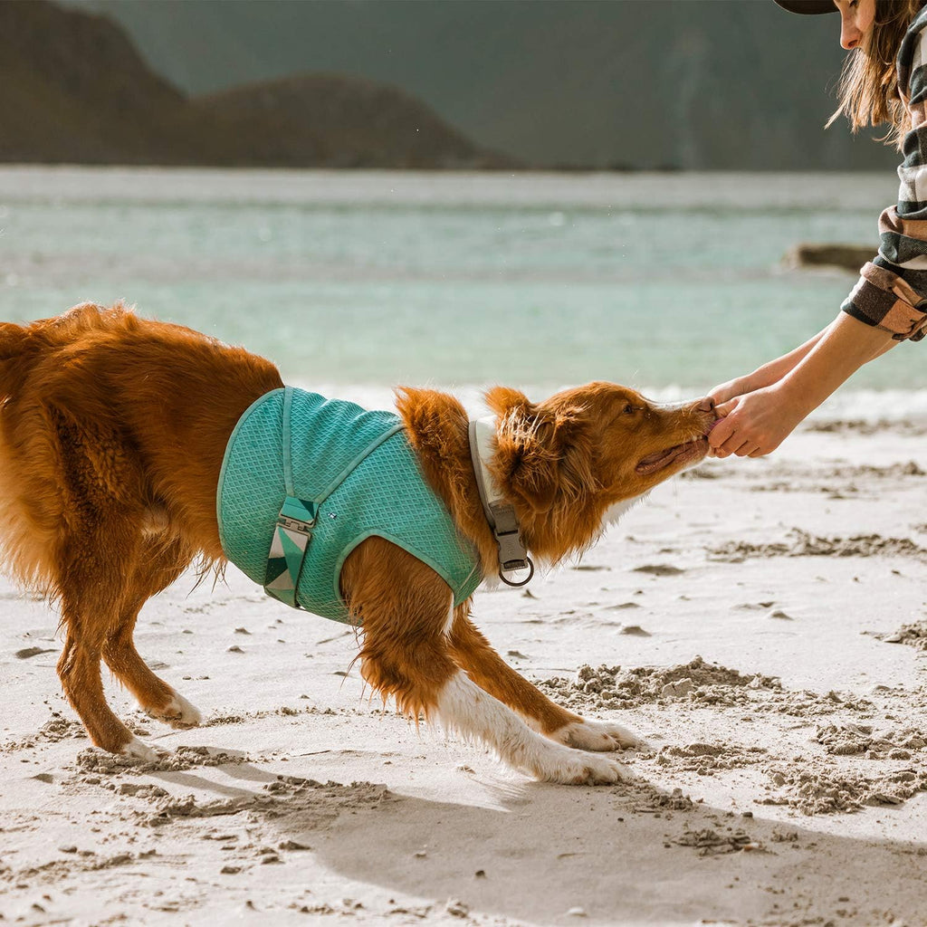 Hurtta Kuehlweste Hund Aquamarin Gr. 50cm-95cm fuer heissen Sommer