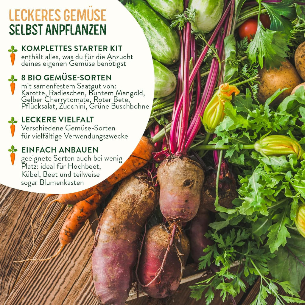Bio Gemuese Samen Set 10 Sorten Anzuchtset Kinder Garten Pflanzset