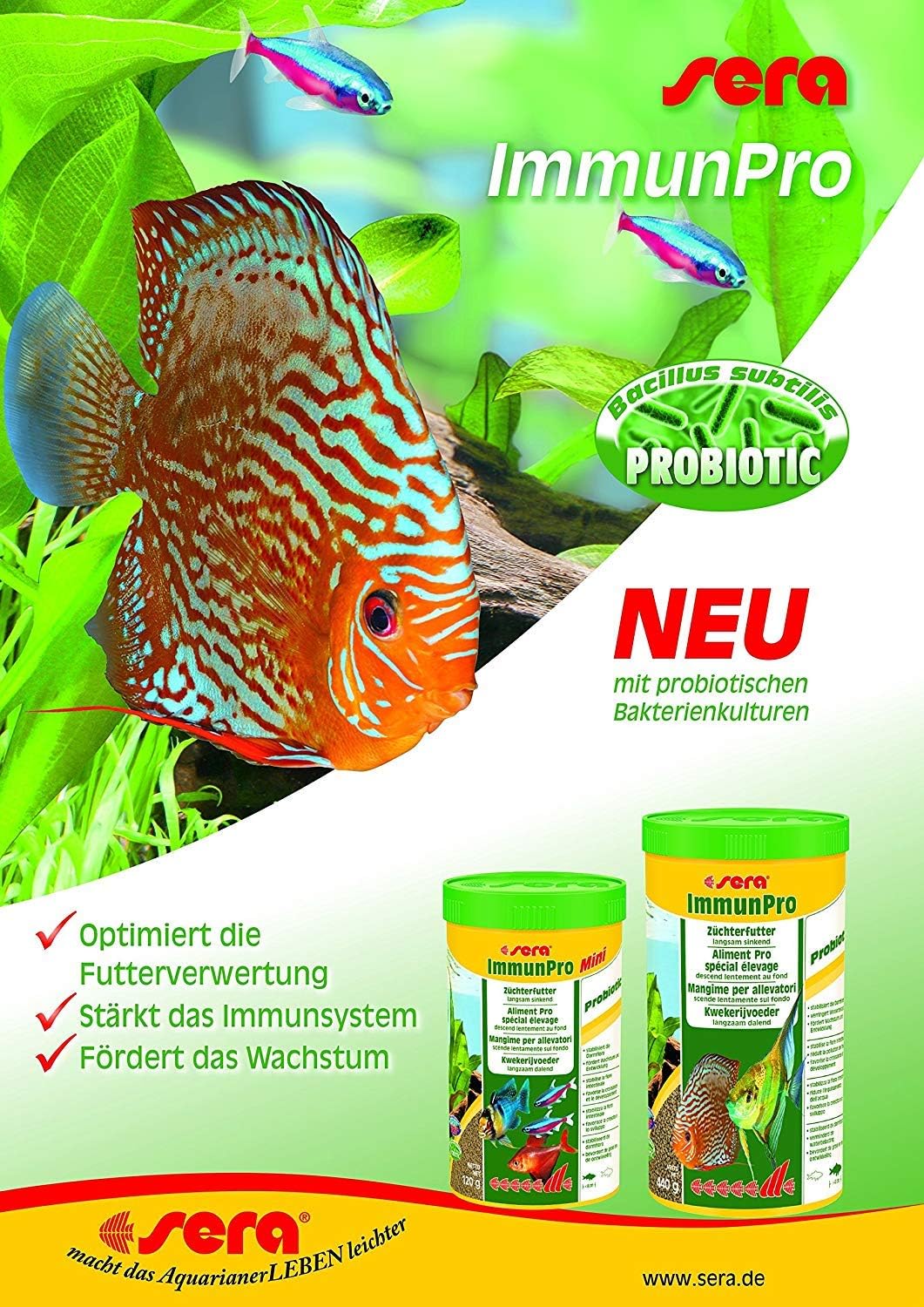 sera Immune Probiotic Granules XS Fischfutter bis 5 cm