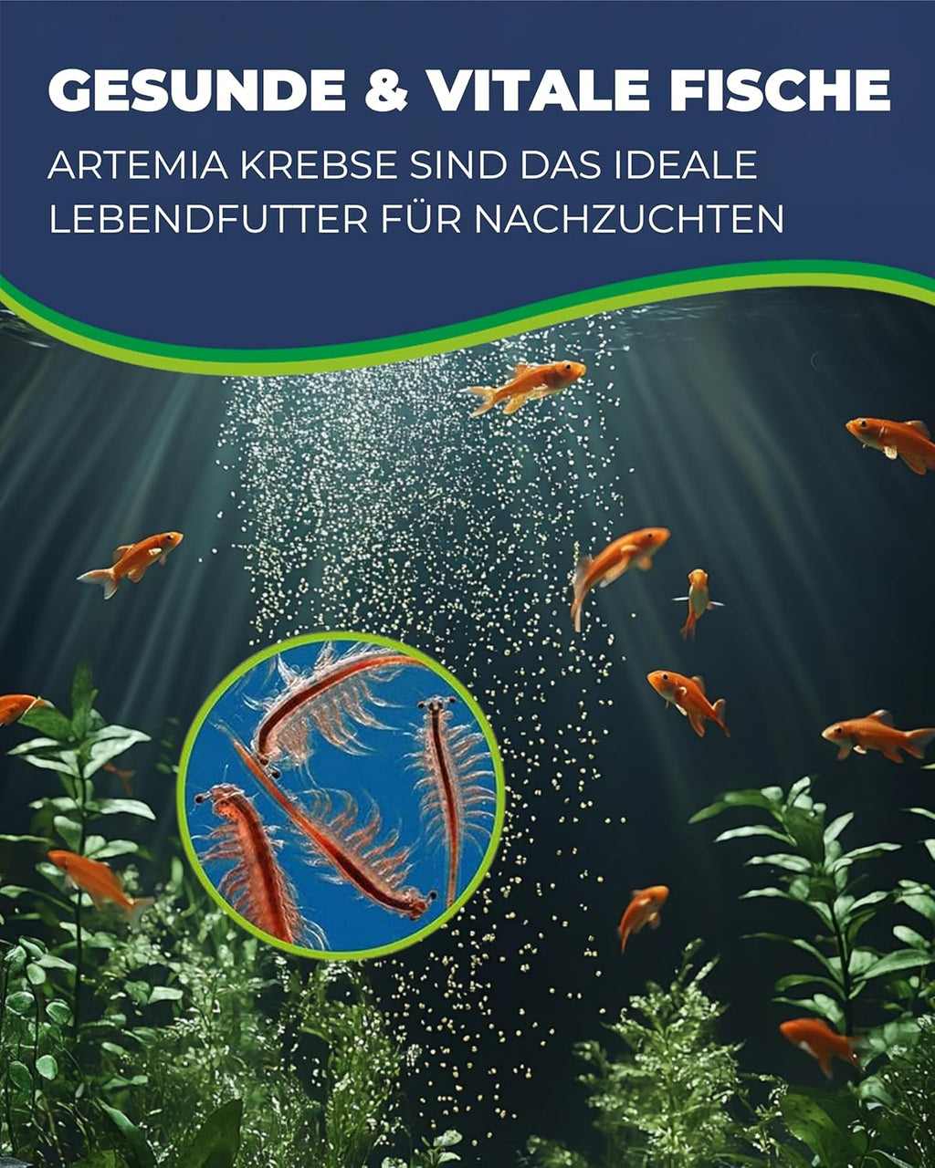 Hobby Artemia Aufzuchtschale Set mit Sieb Trennschale Dosierlöffel