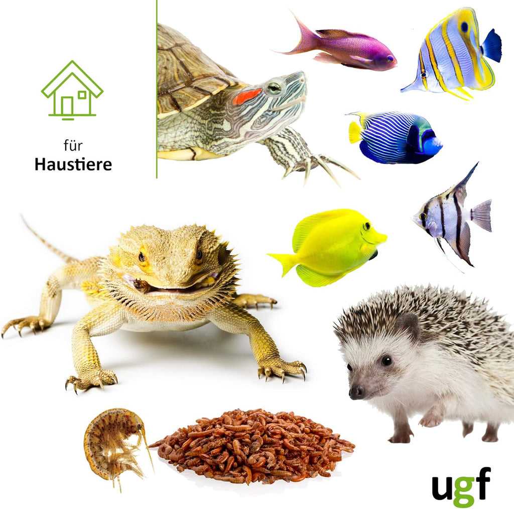 UGF Gammarus Bachflohkrebse getrocknet 318 g im 3 L Eimer - Futter fuer Schildkroe