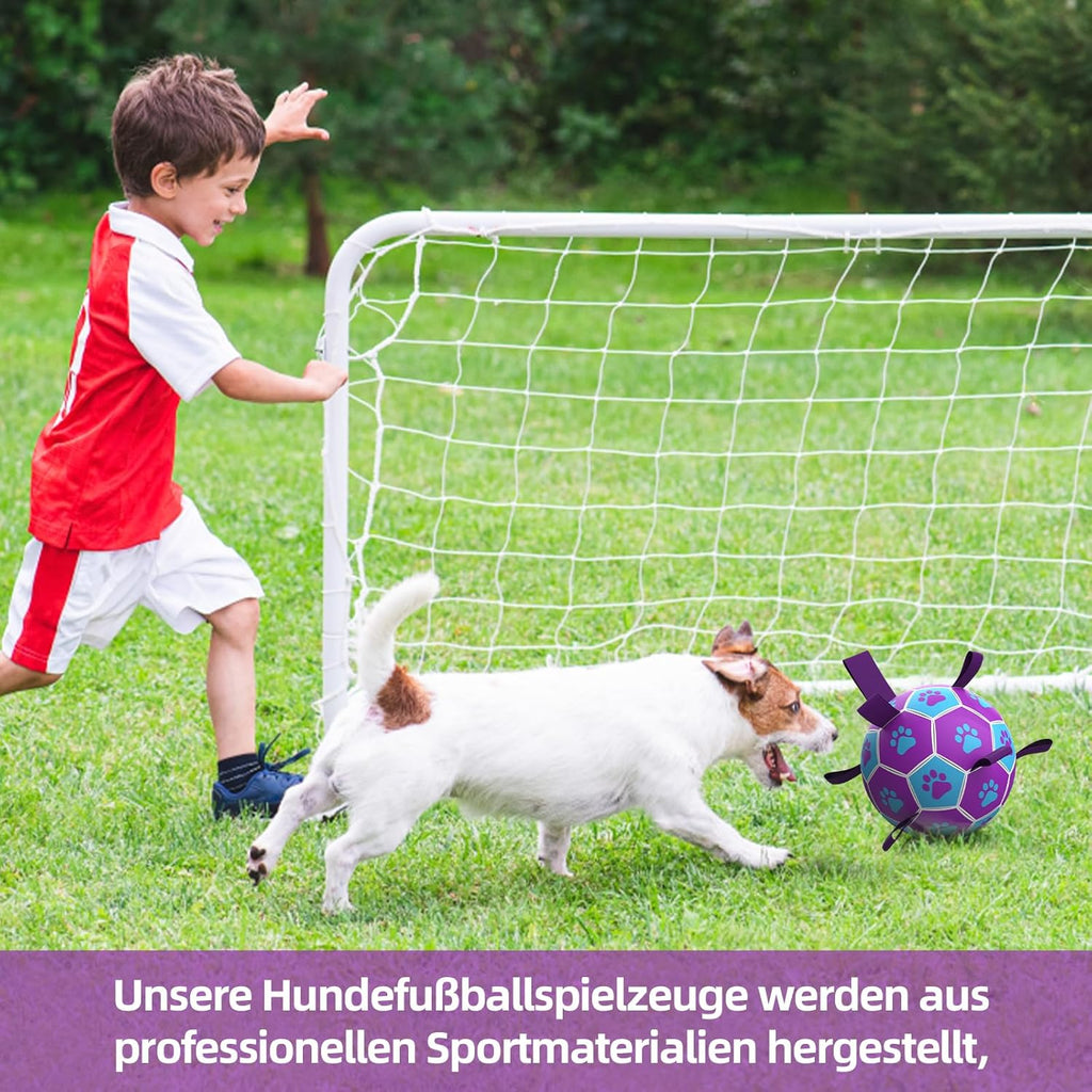 HETOO Hundeball 6" mit Griff fuer mittlere und grosse Hunde M-L lila/blau