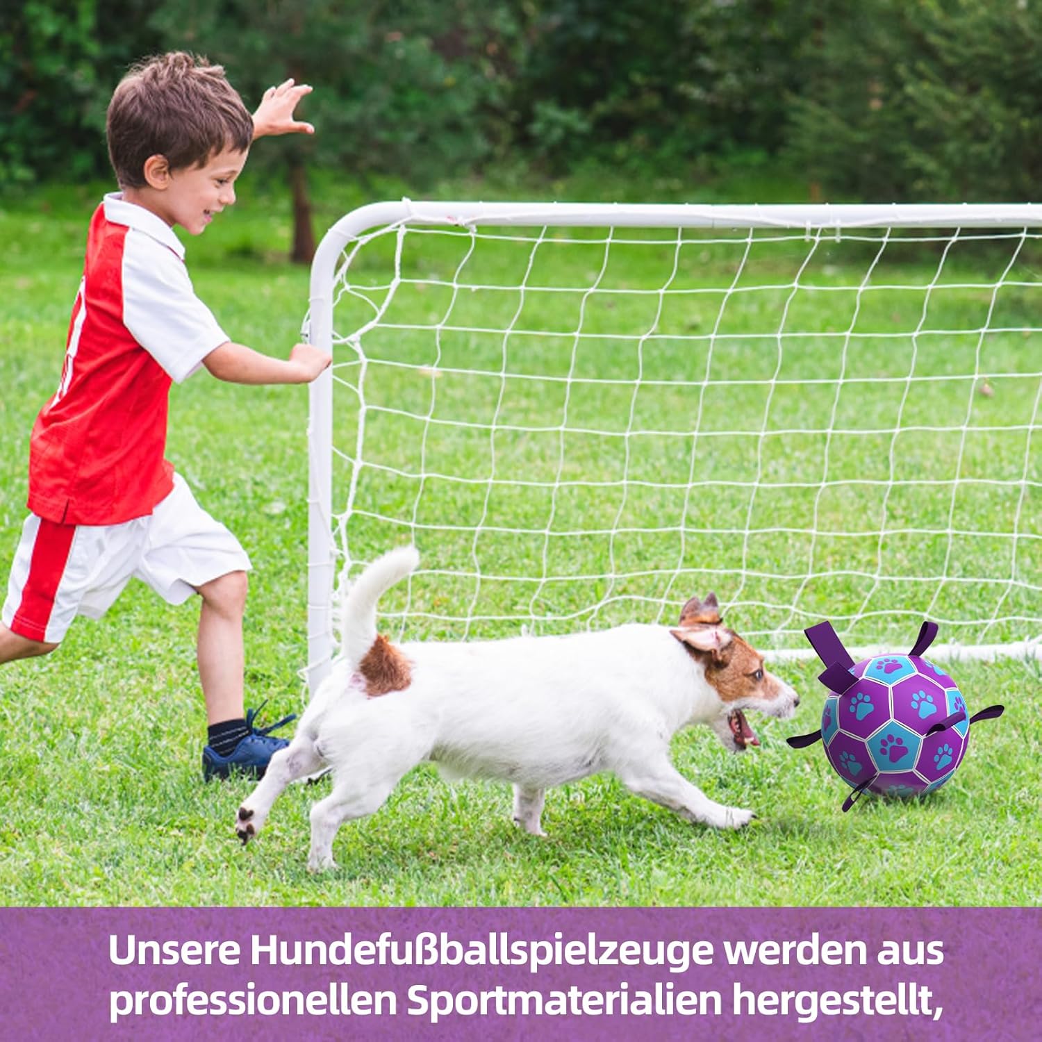 HETOO Hundeball 6" mit Griff fuer mittlere und grosse Hunde M-L lila/blau