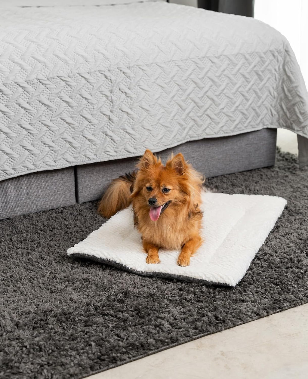 lionto Wendedecke fuer Hunde und Katzen 50x35 cm, gefuettert, waschbar, 4cm