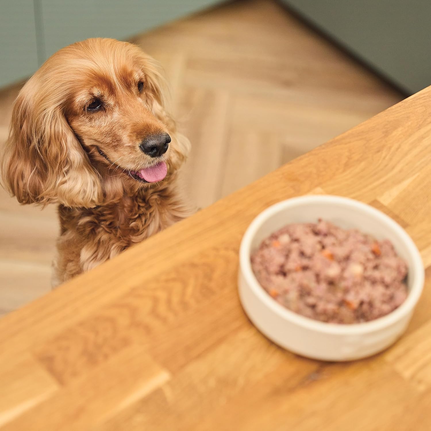 Nassfutter Hundefutter verschiedene Sorten Classic Dinner Multipack