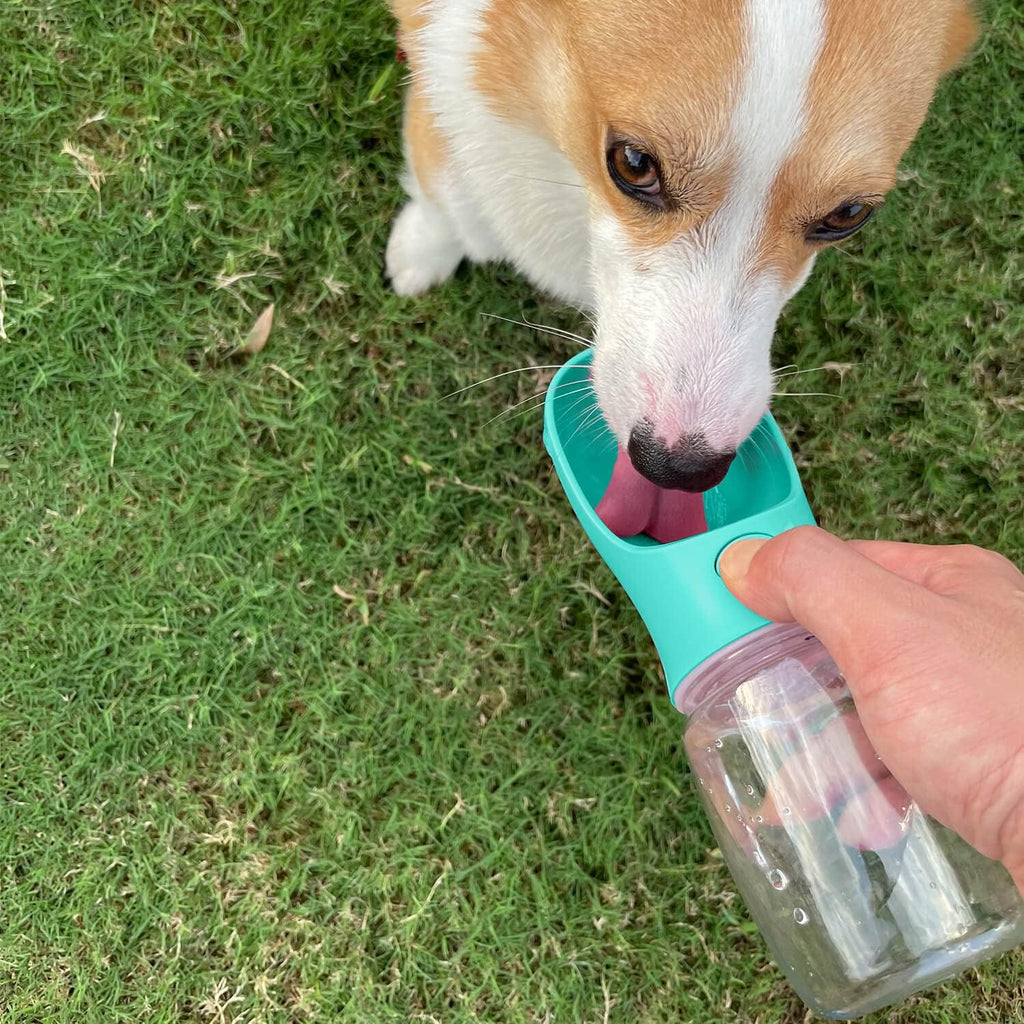 WePet Trinkflasche fuer Hunde Auslaufsicherer Napf Reise Spaziergang