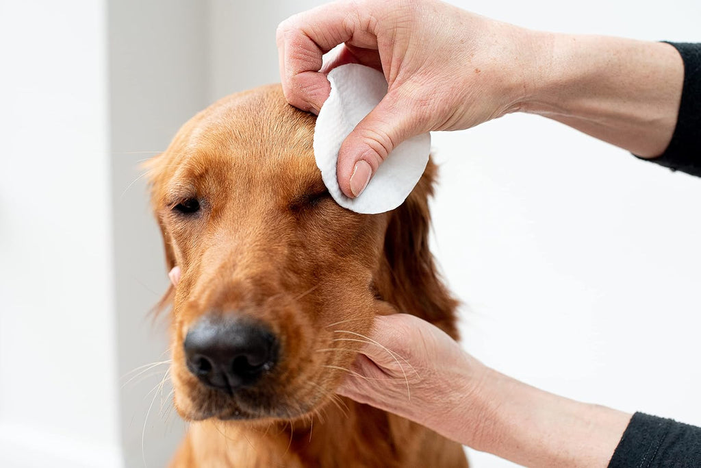Pet Wiz Aloe Vera Augenwischtuecher fuer Hunde und Katzen Groesse XL 1 Dose